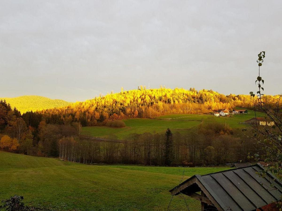 Haus Am Osterbruennl Appartement Ruhmannsfelden Buitenkant foto