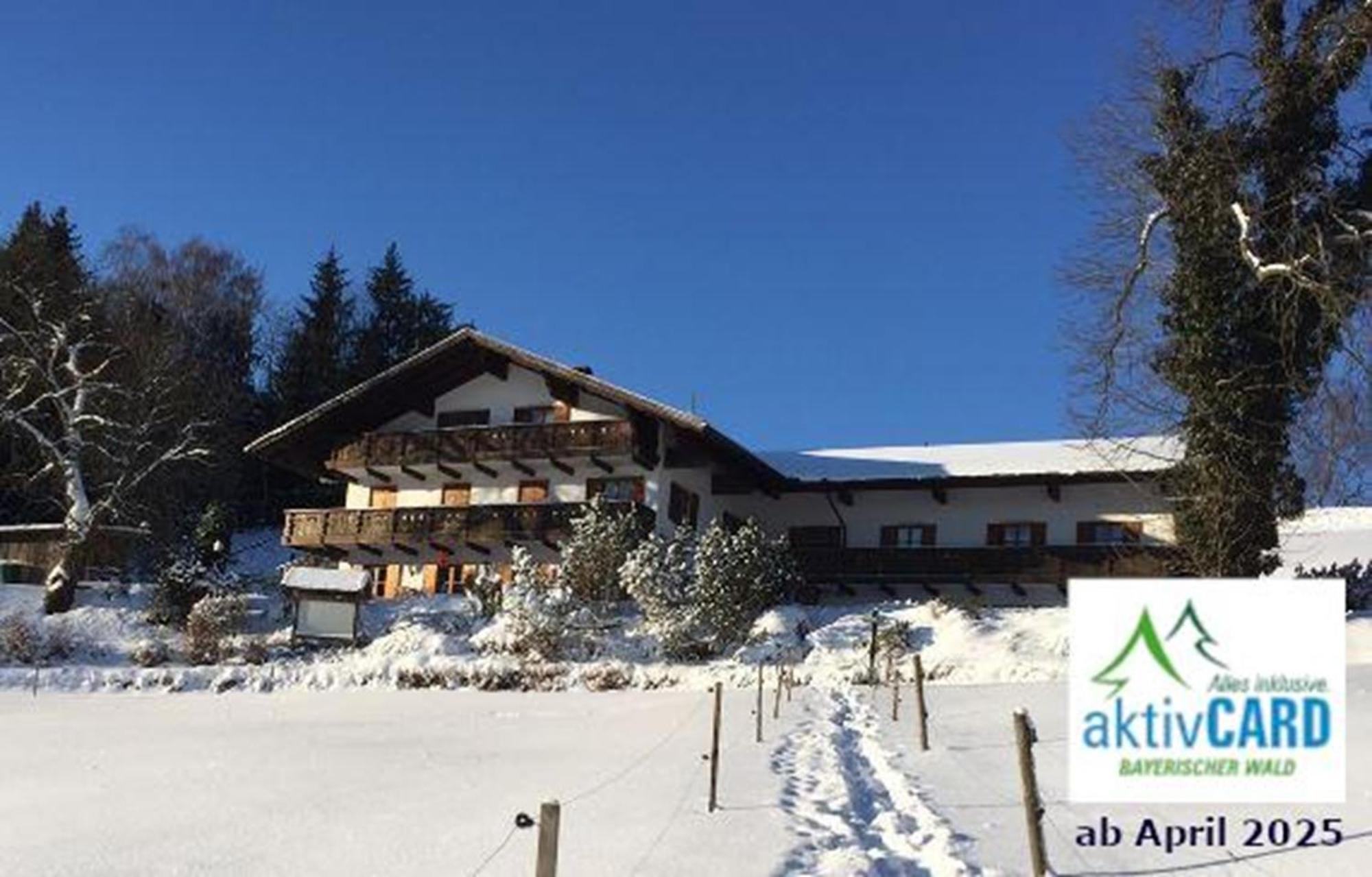 Haus Am Osterbruennl Appartement Ruhmannsfelden Buitenkant foto